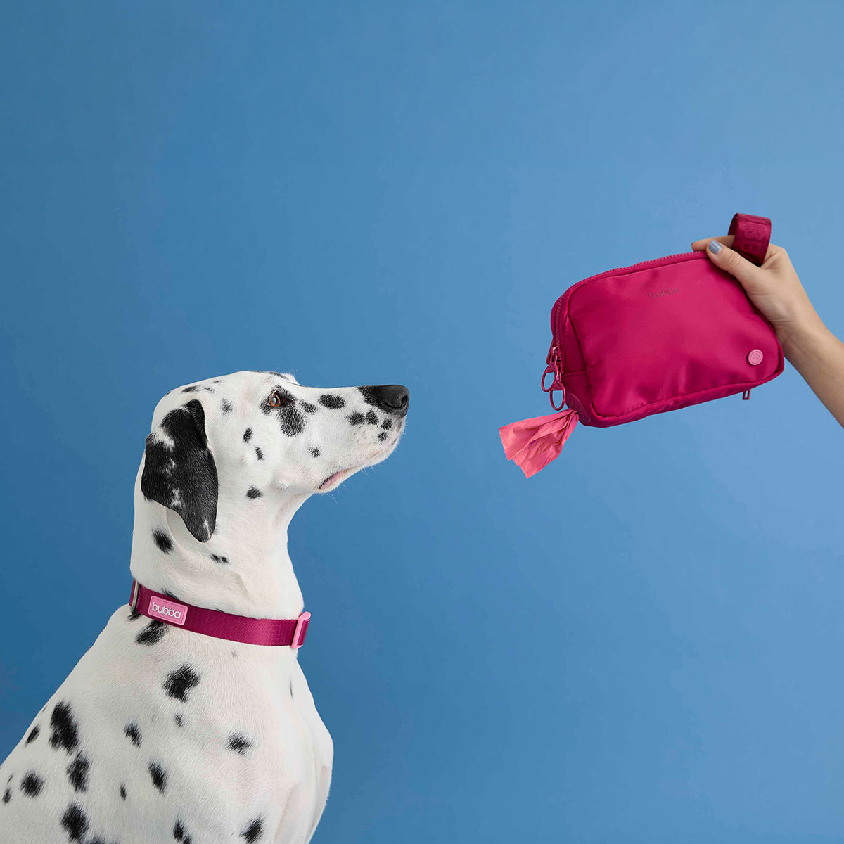 CANGURERA PETS COLLECTION